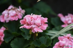 B1BE1FCA-8588-4F12-8273-72998046978F