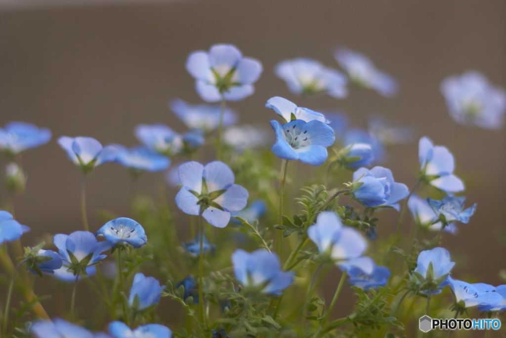 75E3AD4E-5DCB-42D8-B3CA-11127CD9CDD2