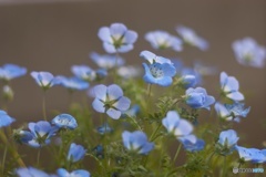 75E3AD4E-5DCB-42D8-B3CA-11127CD9CDD2