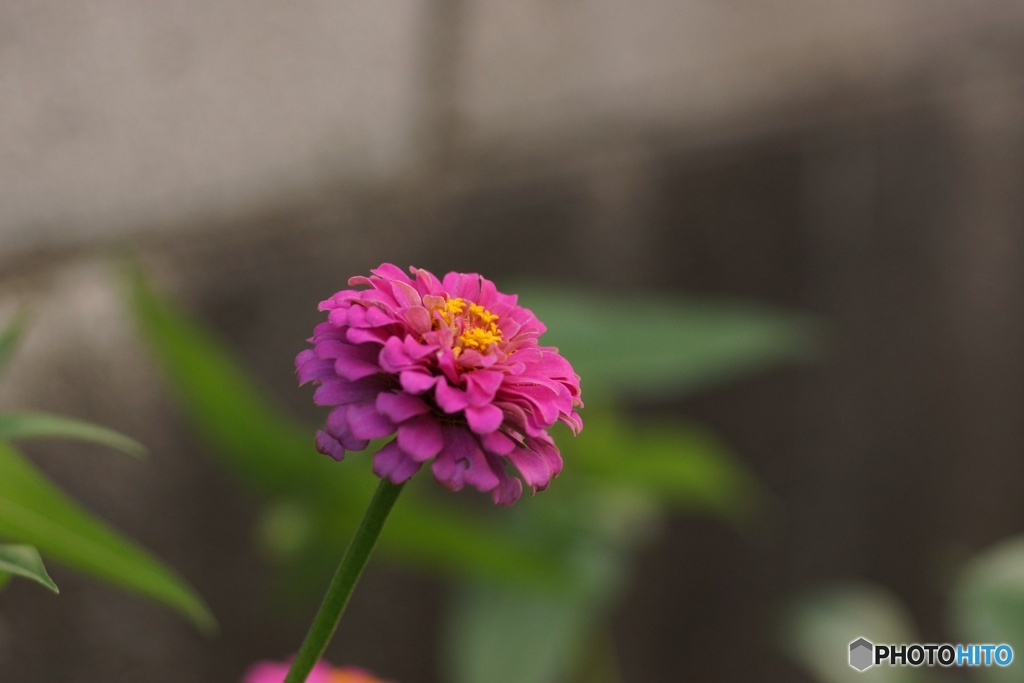 7824C66A-99B8-4FD6-A1D6-8034E9859778