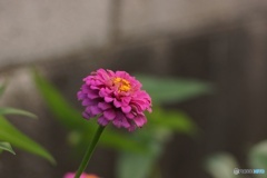 7824C66A-99B8-4FD6-A1D6-8034E9859778