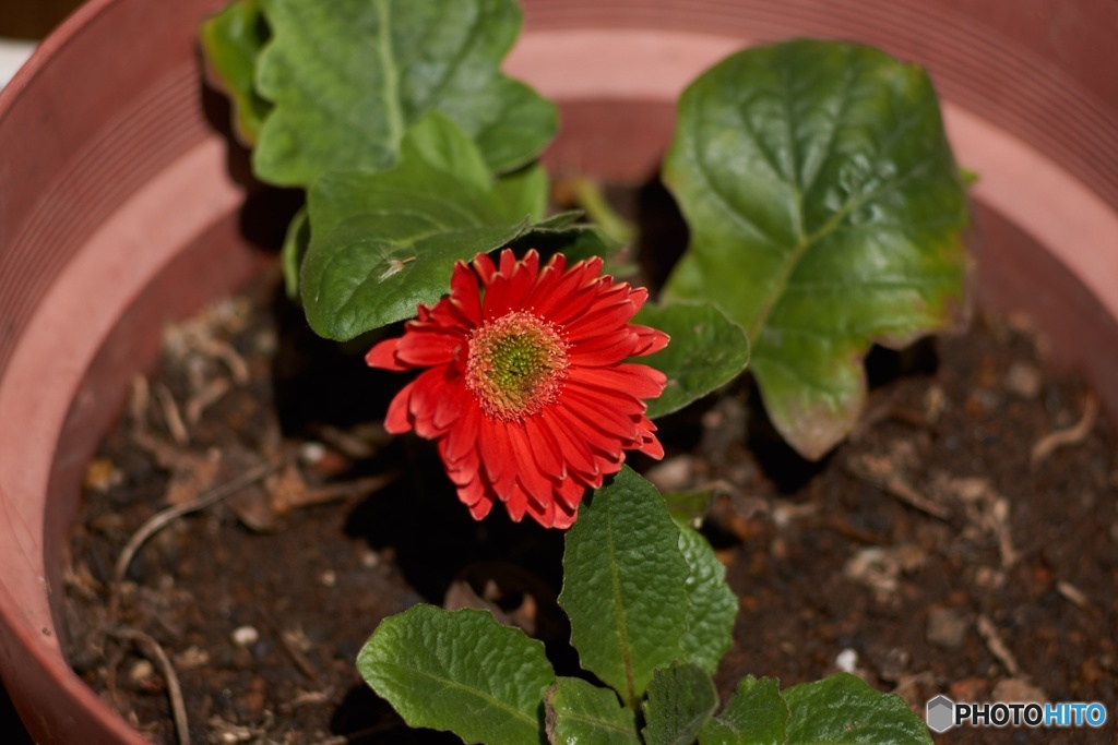 2F5AAE8A-BE5E-41CF-9959-15006B080A4B