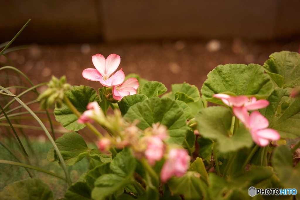 771E4172-70A4-4373-A95D-614F438B800D