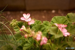 771E4172-70A4-4373-A95D-614F438B800D