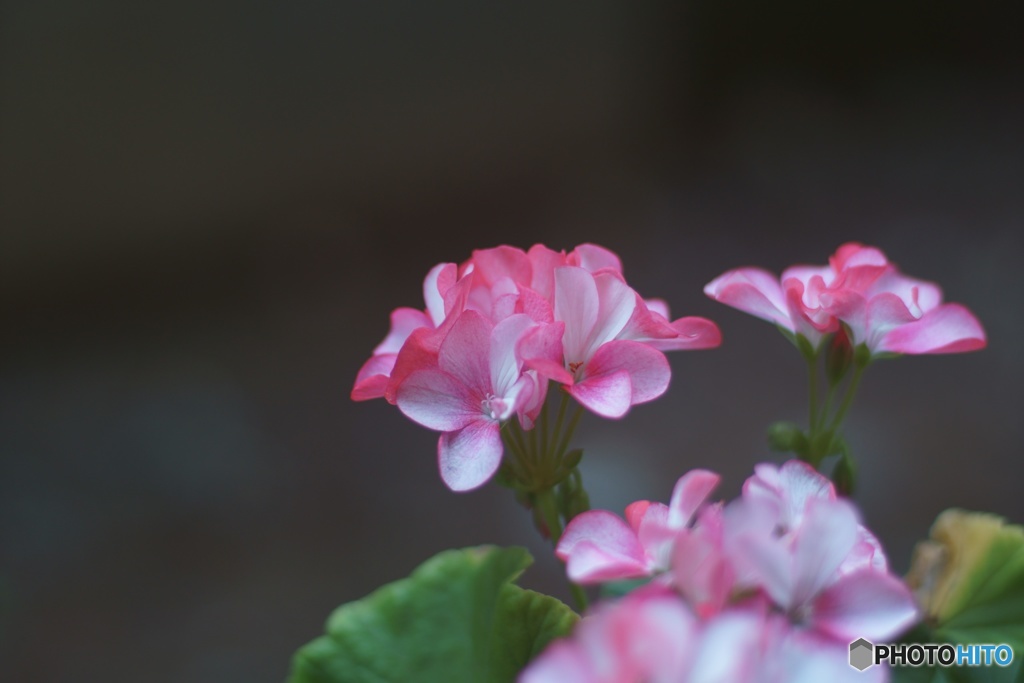 A0E563C2-71FC-4CB6-90C6-9A1C0059E01A