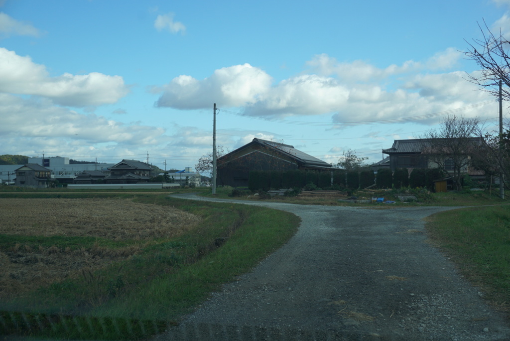 分かれ道
