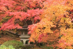 広島三次市尾関山公園