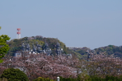 桜とマスト