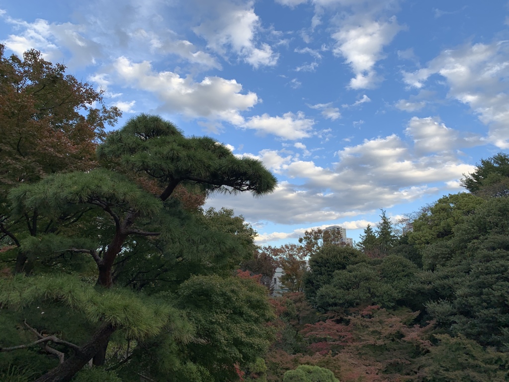 公園