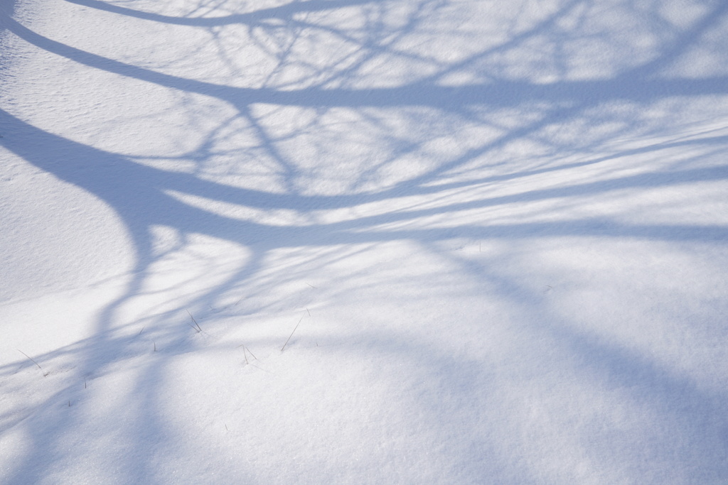 雪影