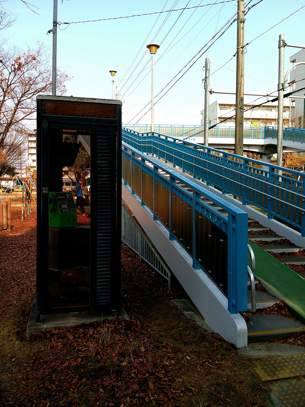 公園にて 12/30 2