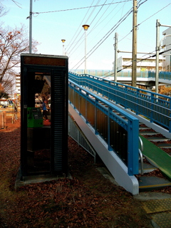 公園にて 12/30 2