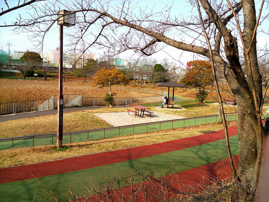 公園にて 12/30 3