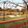 公園にて 12/30 3