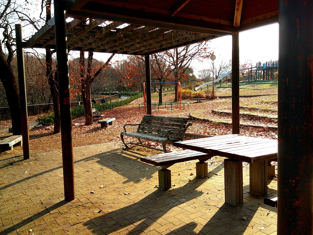 公園にて 12/30 1