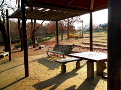 公園にて 12/30 1