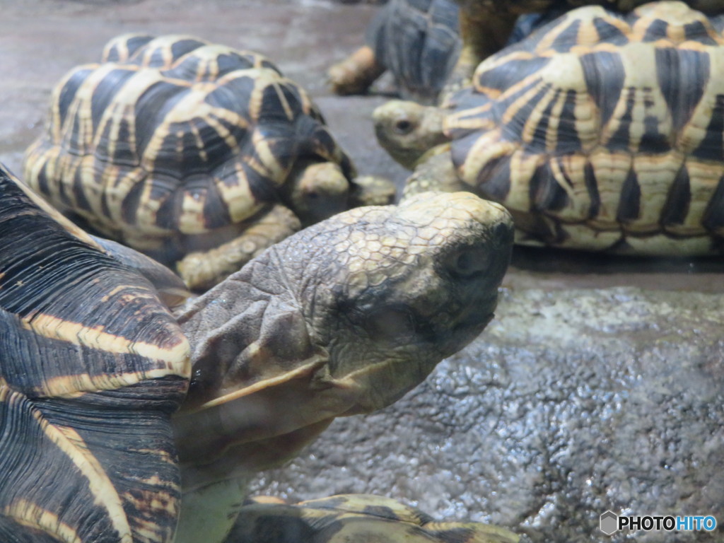 サンシャイン水族館－30