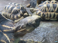 サンシャイン水族館－30