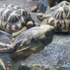 サンシャイン水族館－30