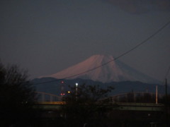 富士山