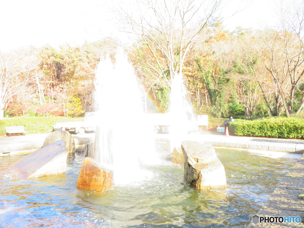 埼玉県森林公園