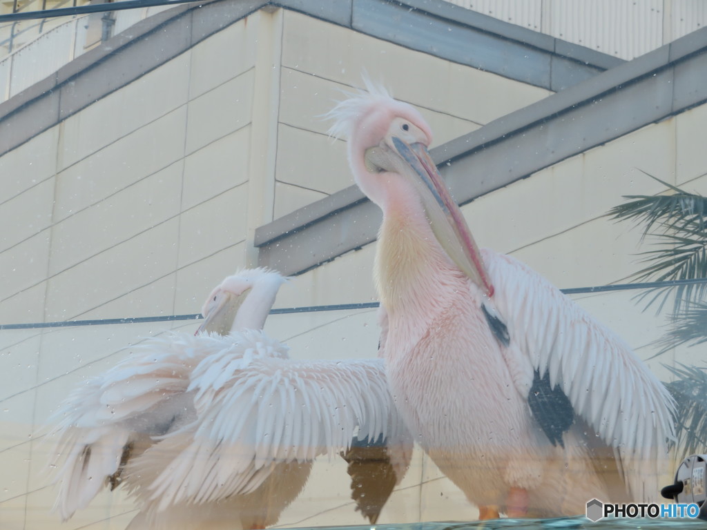 サンシャイン水族館－48