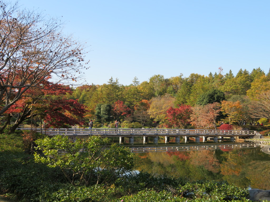 国立昭和記念公園