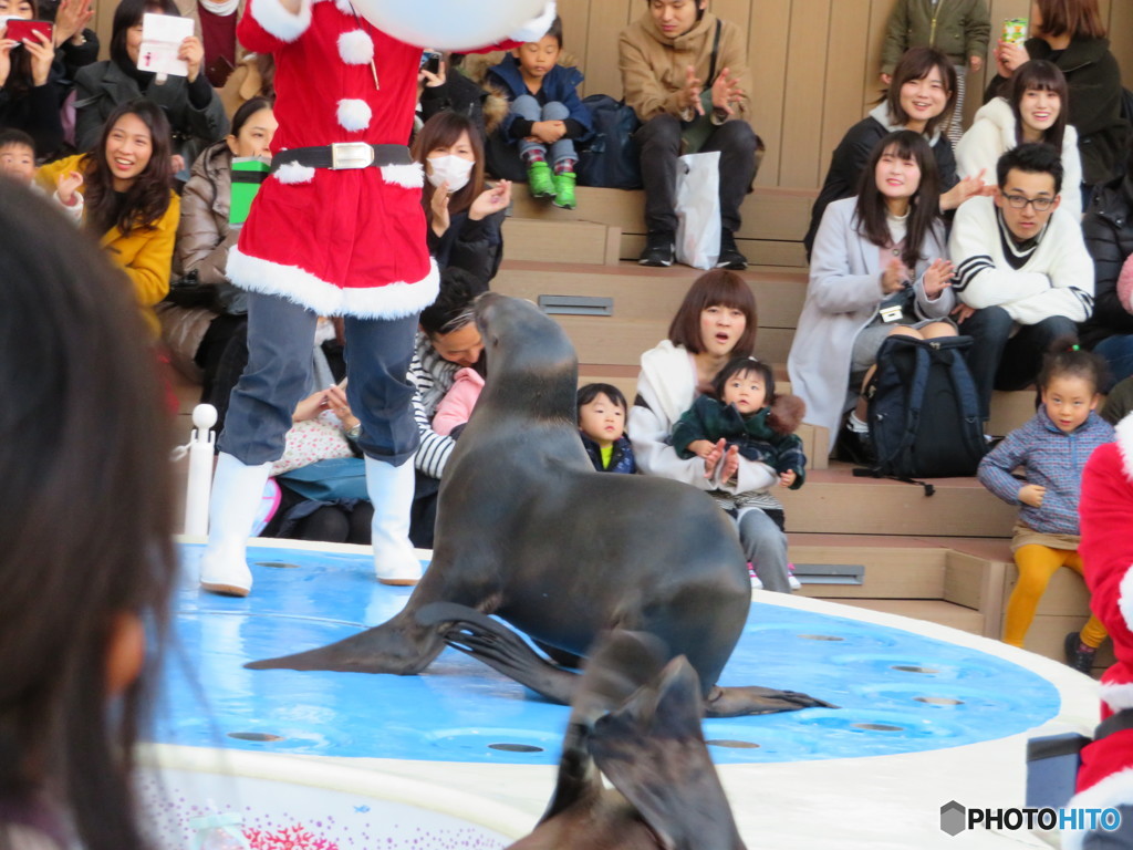 サンシャイン水族館－42