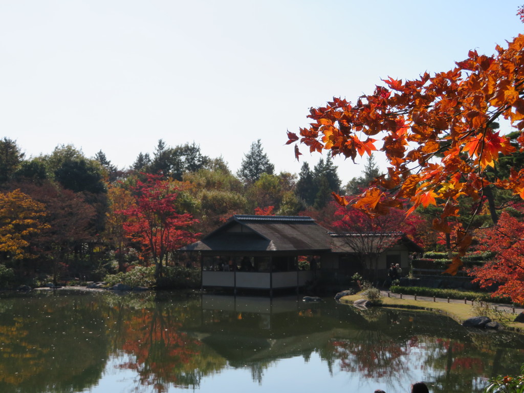 紅葉と東屋