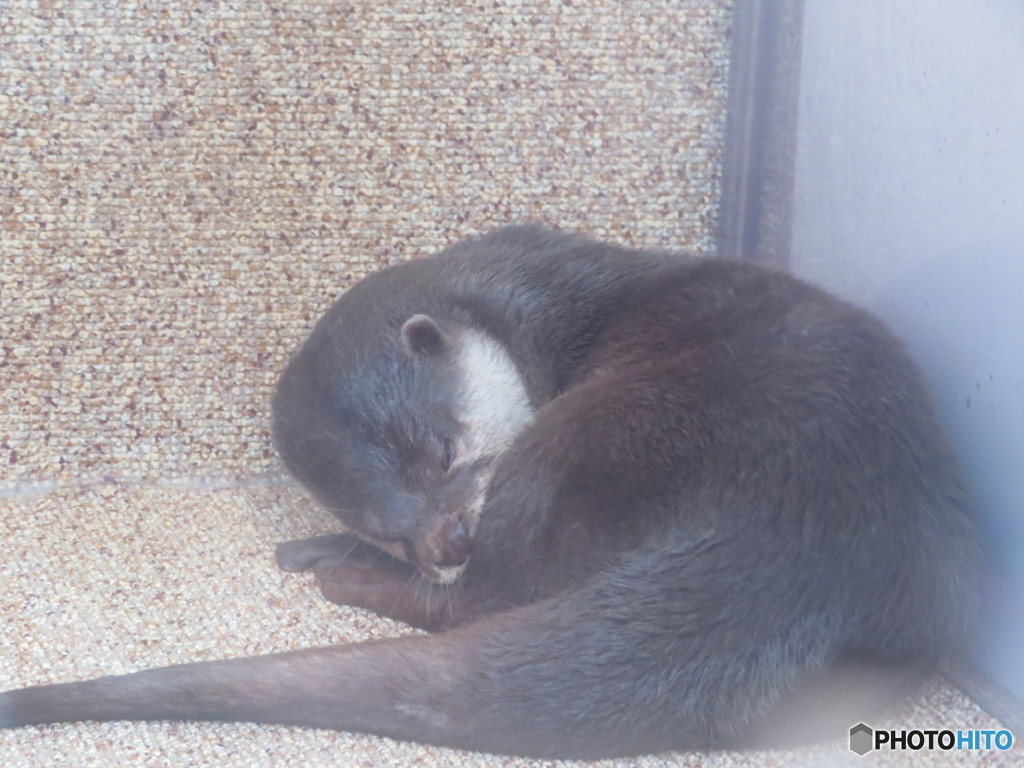 サンシャイン水族館－44