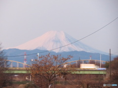 富士山