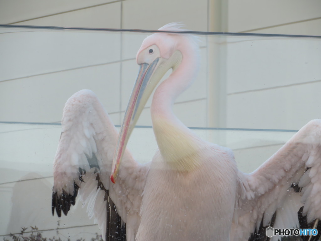 サンシャイン水族館－45