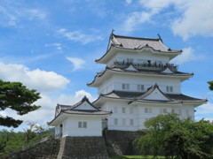 小田原城