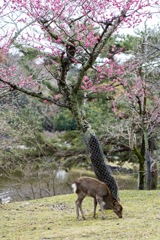Bread is better than the songs of birds