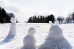 snow family