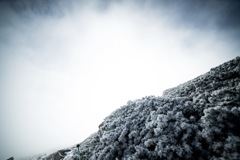 霧氷