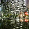 reflection