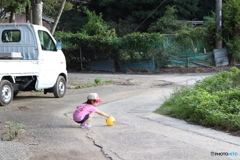夏の1枚