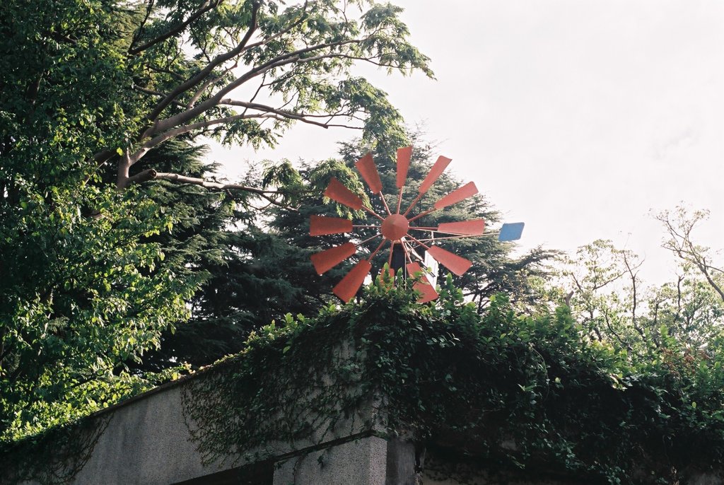 公園にあった風車？みたいなやつ