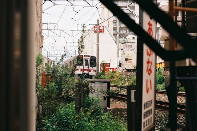 奇跡的にエモい電車