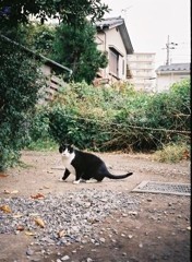 こっちでもモフモフ撮ってた