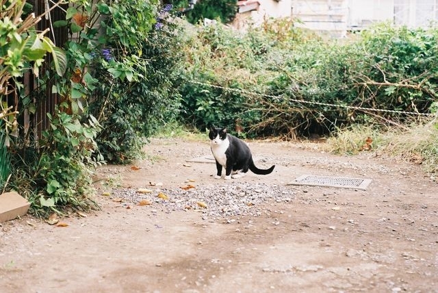モフモフ撮影成功です！
