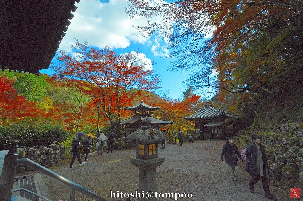 青空と錦秋の愛宕念仏寺