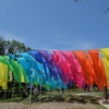 虹のカーテン