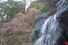 熱海梅園梅見の滝