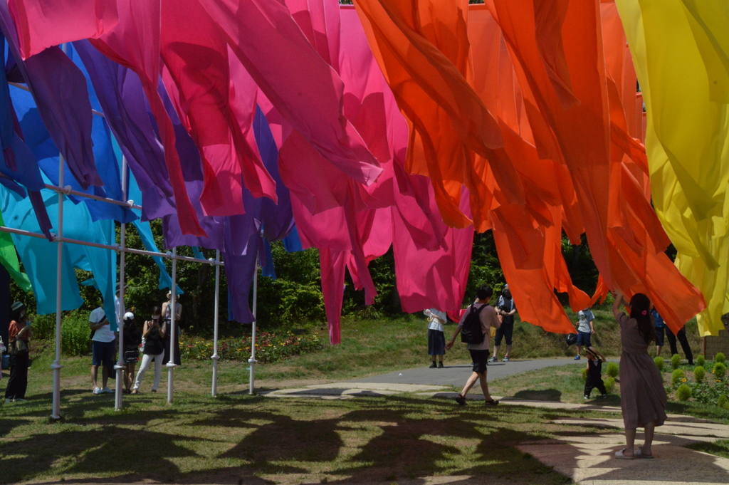 高島チヂミの虹のカーテン