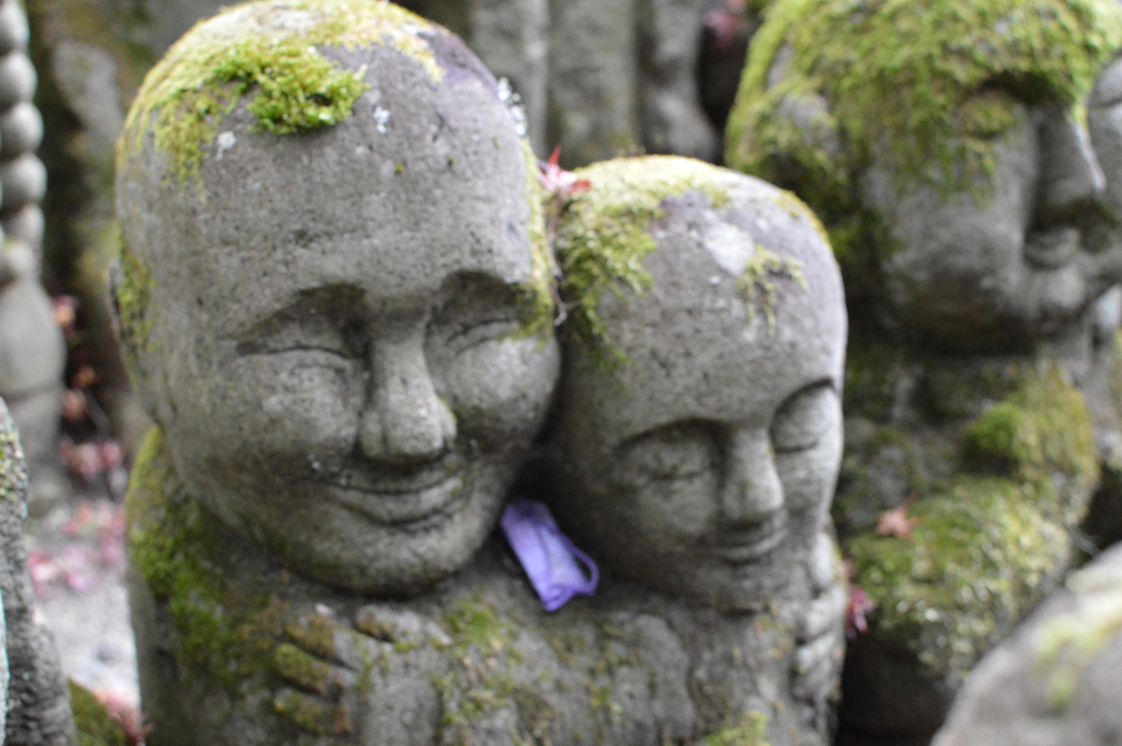 愛宕念仏寺２０１８秋