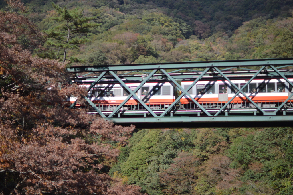 箱根登山鉄道出山鉄橋