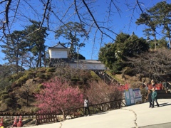 春の兆しの小田原城