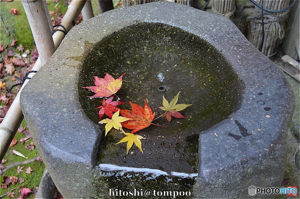 祇王寺_0229